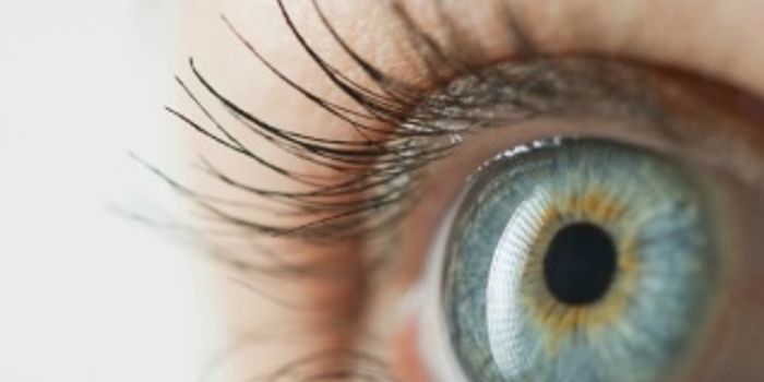 Tel Aviv University reports progress toward synthetic, wireless retinas