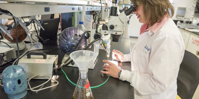 New Insight Into the Regulation of Sleep