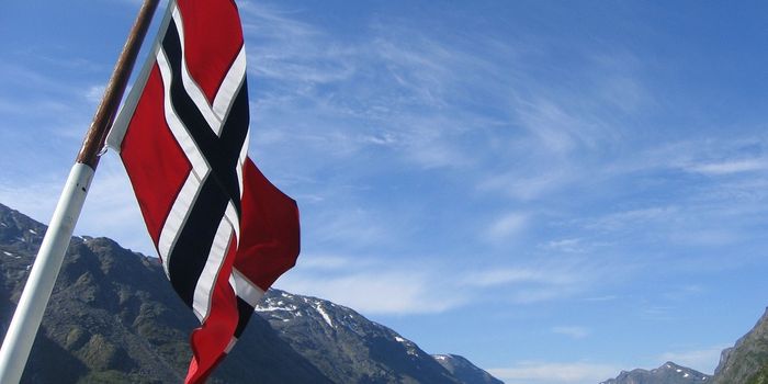 Norway and the fight against deforestation