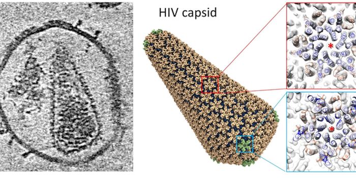 Researchers Solve the Structure of the HIV Capsid, May Be a New Drug Target
