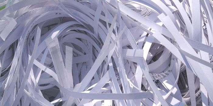 Discovering the Genetic Factors Underlying OCD