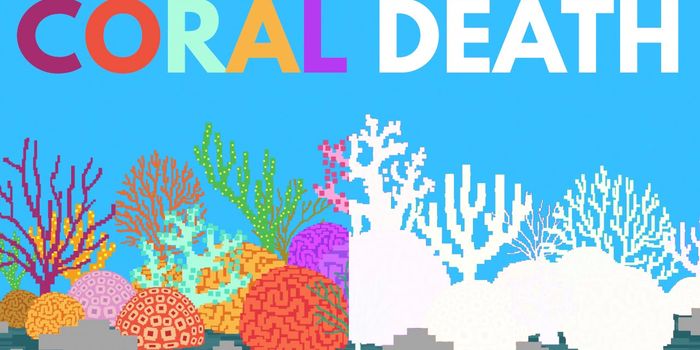 What If All the Corals Died?