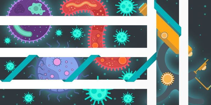 How Microscopes Work