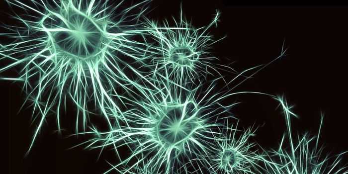 New Findings in Mouse Brains Could Improve Neurological Research