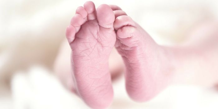 Diagnosed: Baby 'Pregnant' with Half-Formed Twin