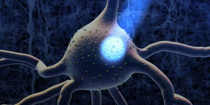 Activating Dendritic Cells with Optogenetic Immunomodulation Technology
