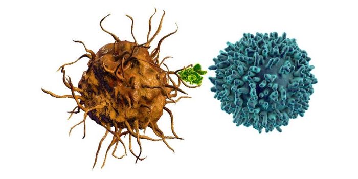 Technical Note: MHC-Peptide Exchange Technology Explained