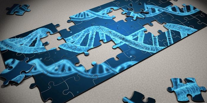 Massive Gene Transfer From Bacteria to Fly is Discovered