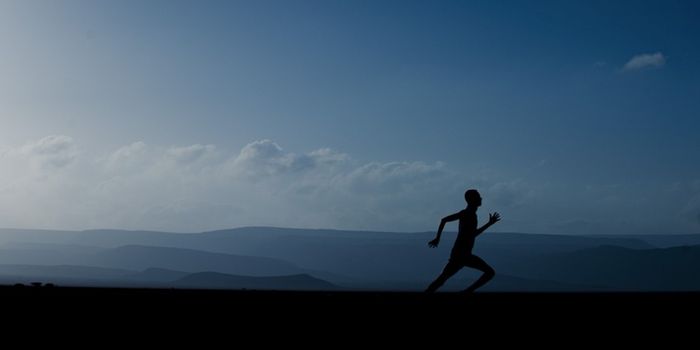 Understanding the Physiological Response to Exercise