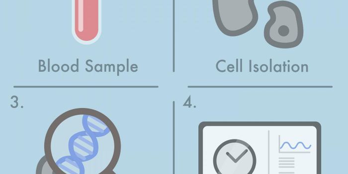 Blood Test Deciphers Your Internal Rhythm