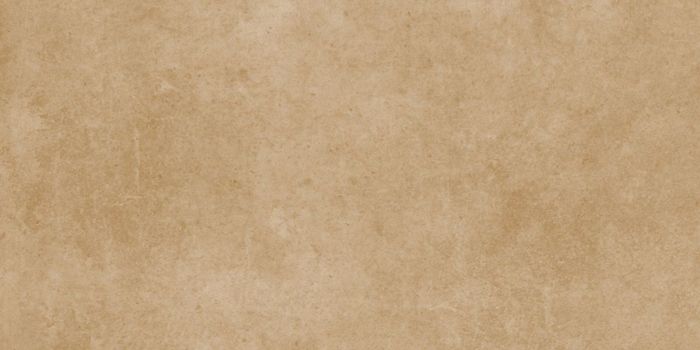 Beige Fat Cells Protect the Brain from Dementia