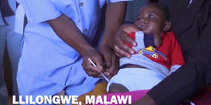 Malaria Vaccine Program Begins in Malawi