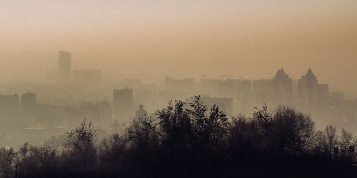 Air Pollution Exposure May Increase Dementia Risk