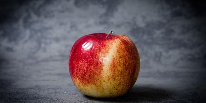 New Study Reveals Foods that Delay Dementia and Heart Disease