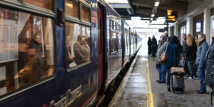 Viruses Can Aid Bacterial Survival in Man-Made Environments