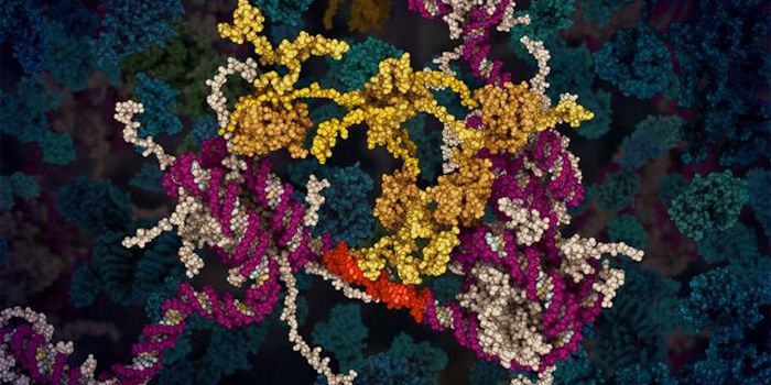 Visualizing a Tumor Suppressor in Action