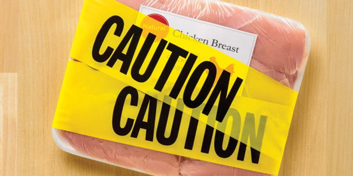 How Salmonella Infects Chicken Flocks