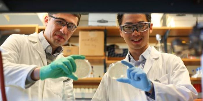 New Evidence for How a Rare Form of Liver Cancer Arises