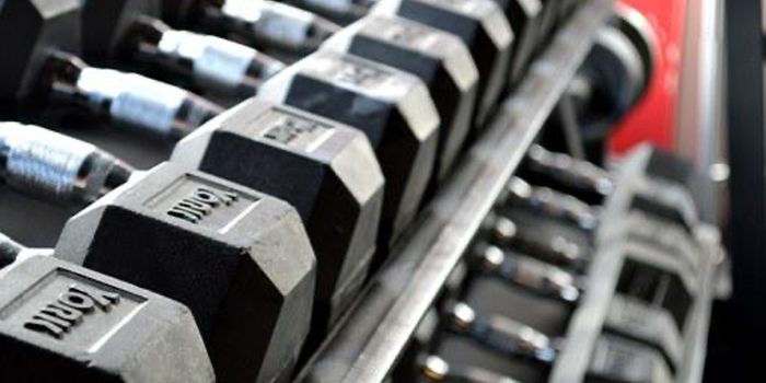 Weight Training Effectively Combats Obesity
