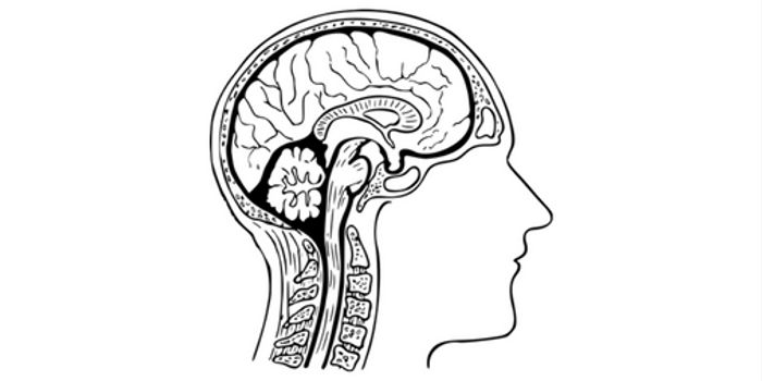 TSRI-Invented Compound Ozanimod Shows Positive Results in Late-Stage Clinical Trial for Relapsing Multiple Sclerosis