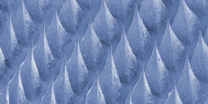 Scientists Create ‘Smarter' Insulin Patch to Control Diabetes