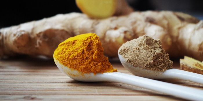 Turmeric Better than Placebo for Osteoarthritis Pain