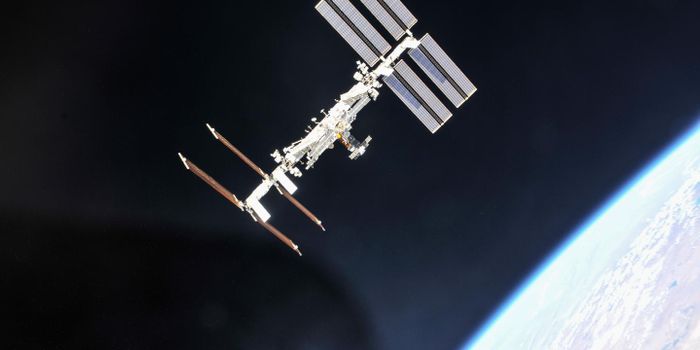 Space Bacteria Are Adapting to Survive