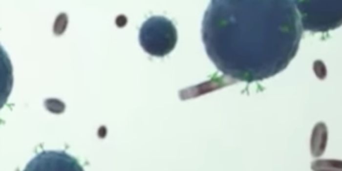 Detecting Leukemia Before it Starts Growing