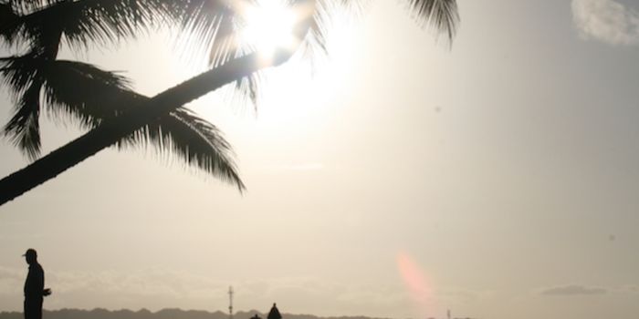 Rethinking the Cause of Mutations That Lead to Melanoma