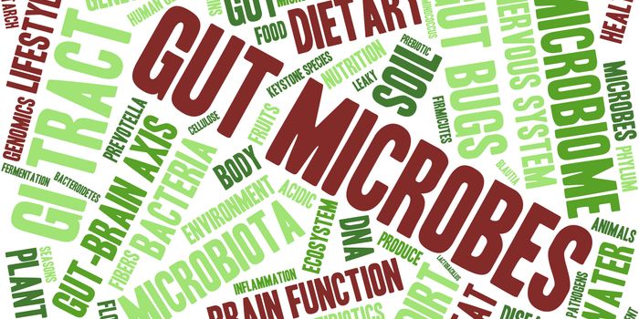 Gut microbes talk to the immune system