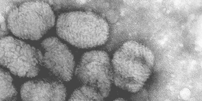 First Drug for Smallpox Treatment