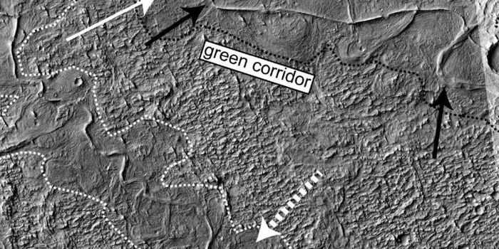 More Proof for a Watery Past on Early Mars?