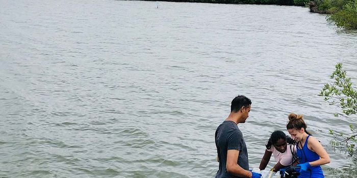 Harmless Microbes Can be Pressured to Turn Bad