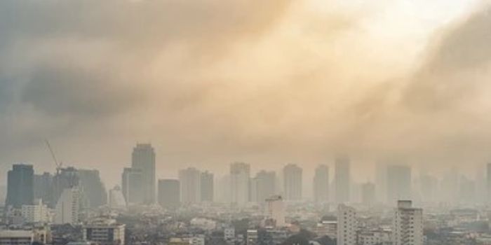 Massachusetts Air Pollution in 2019 Led to Death, Illnesses, and IQ Loss in Children