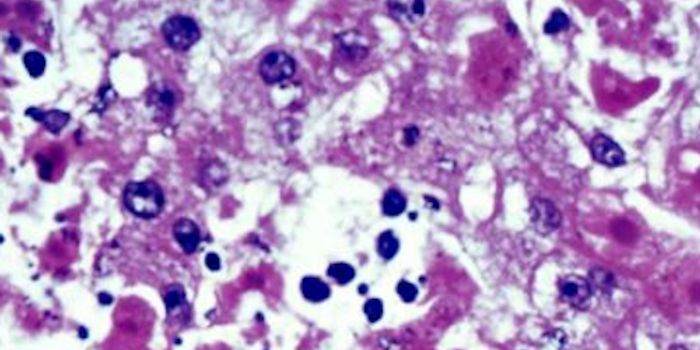 Even When Cells Aren't Dividing, They can Mutate