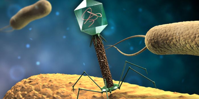 Phage therapy for C. difficile?