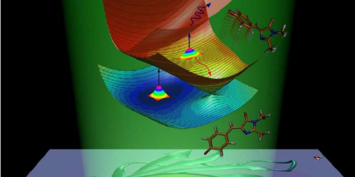 The Intrinsically Fluorescent Nature of GFP Chromophore