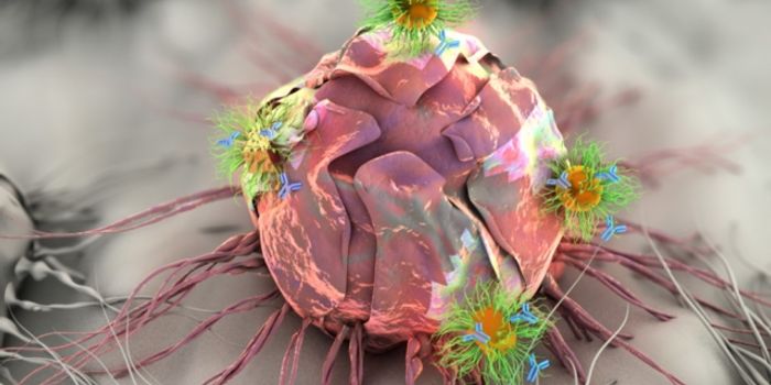 Scientists Create Triple-Lethal Patch to Annihilate Cancer