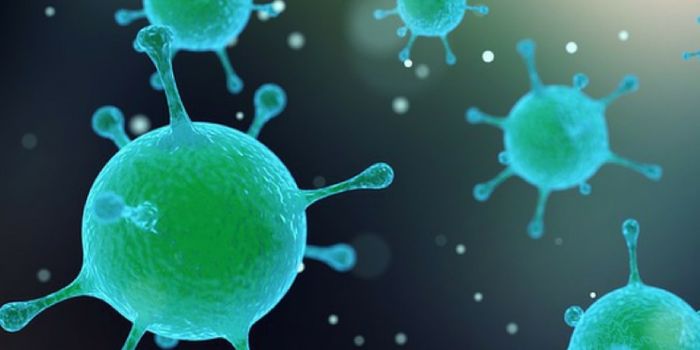 A Benign Virus Could Be Behind Celiac Disease