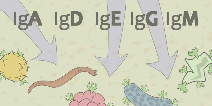 Nice, clear introduction to immunoglobulins