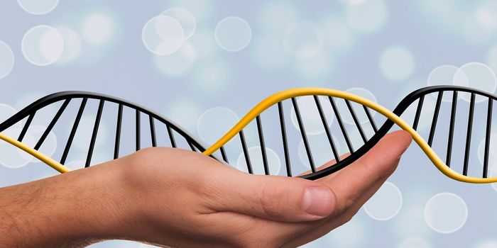 Pre-Clinical Study Suggests the Ability to Convert Cancer Cells into Healthy Muscle Cells