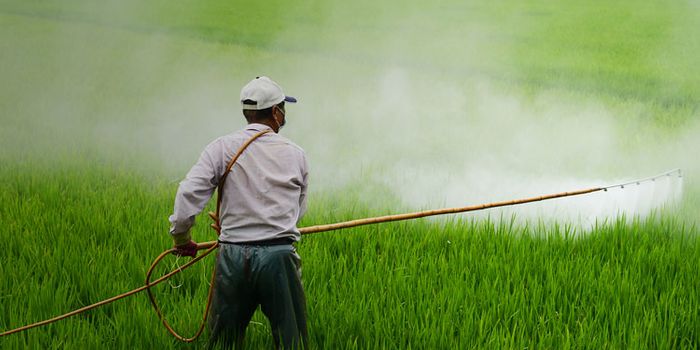 Monsanto's mistake: dicamba