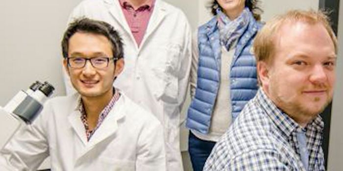 Immune Cells Use Bleach to Destroy Bacteria