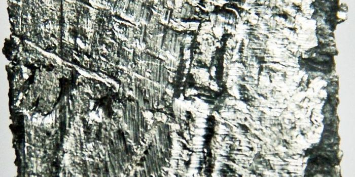 Appalachia is a gold mine for rare earth elements