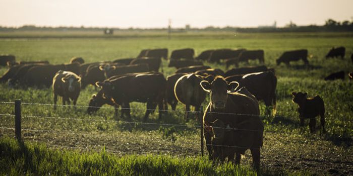 Stricter Oversight Ordered for Research Lab