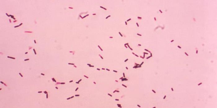 ATP & GTP Are Common in Biology - But What About CTP?