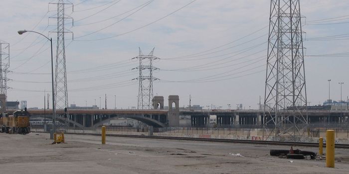 The Connections Between Toxins, Genes, and Disease