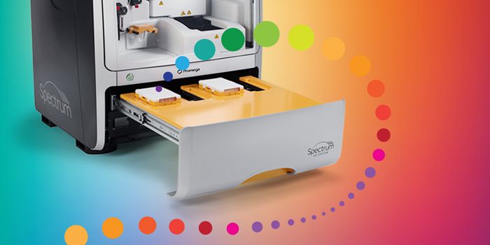 PowerPlex® 35GY Validation on Spectrum CE System