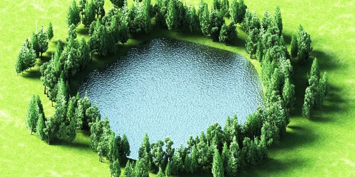 Tiny ponds are big source of greenhouse gases