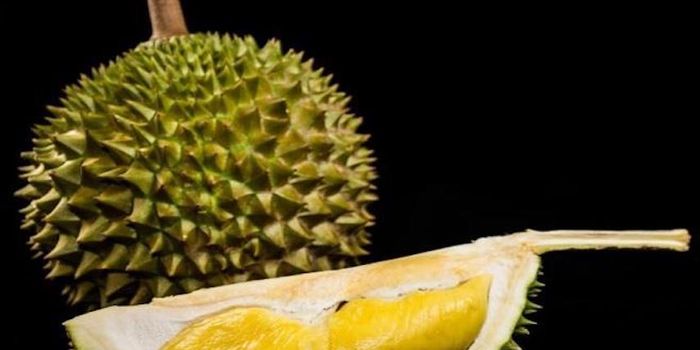 Durian Fruit Genome Reveals Clues to Famous Smell